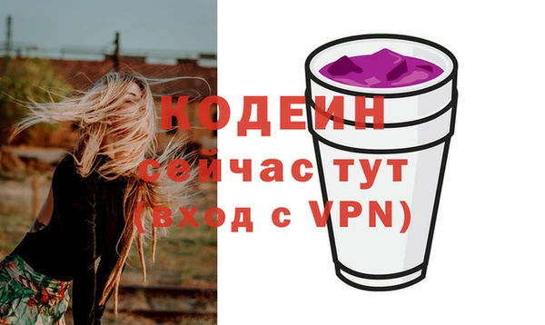 дурь Ельня