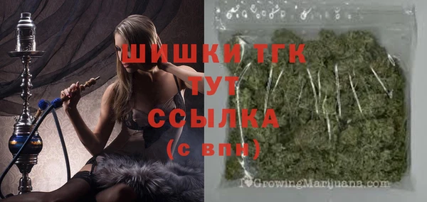 мдпв Магас